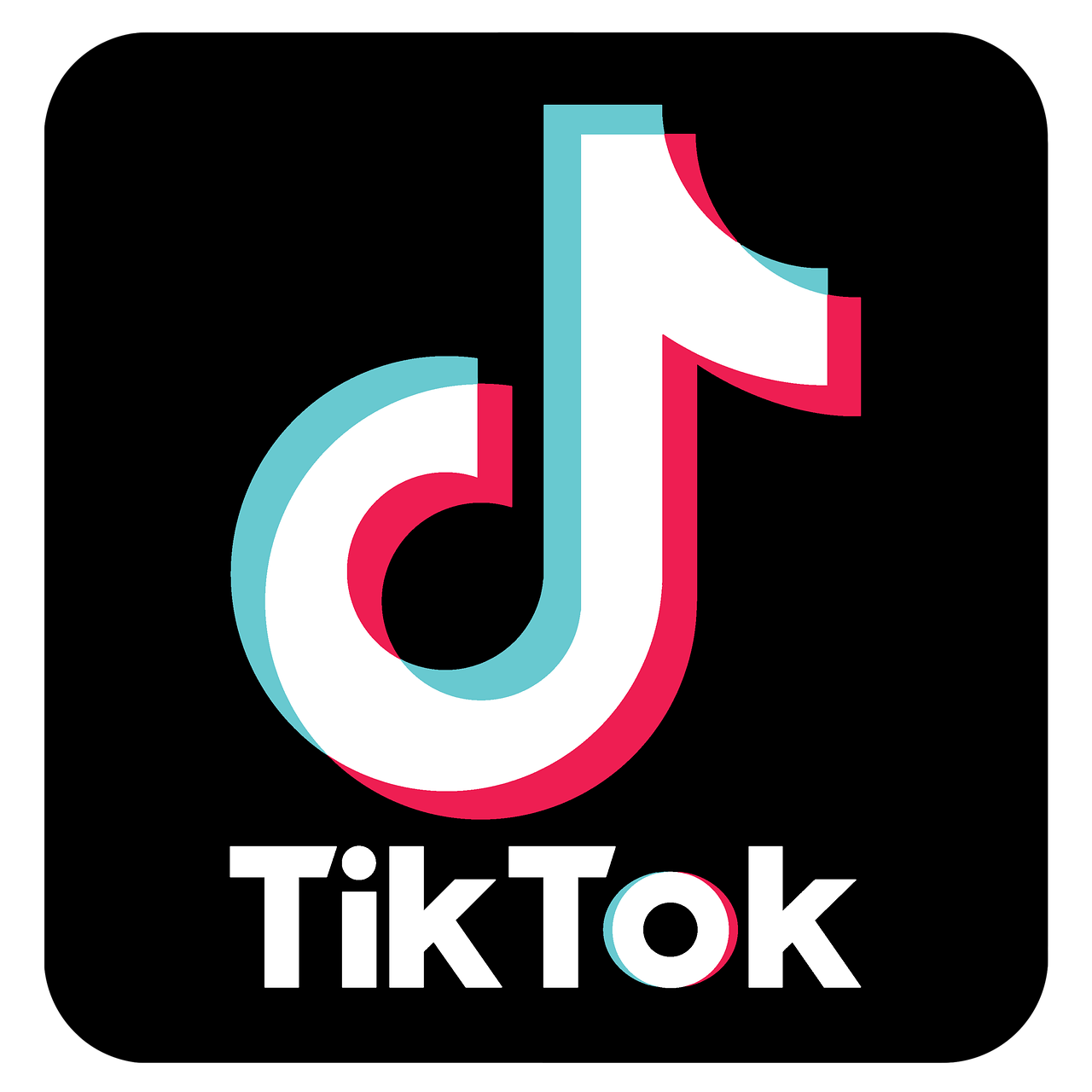 TikTok Ads Course